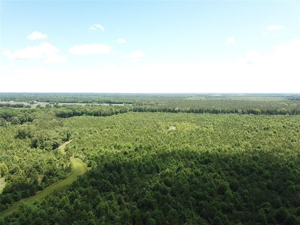 265.96 acres in Bowie County - photo 6