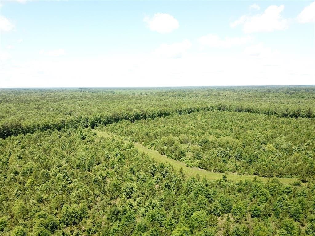 265.96 acres in Bowie County - photo 9