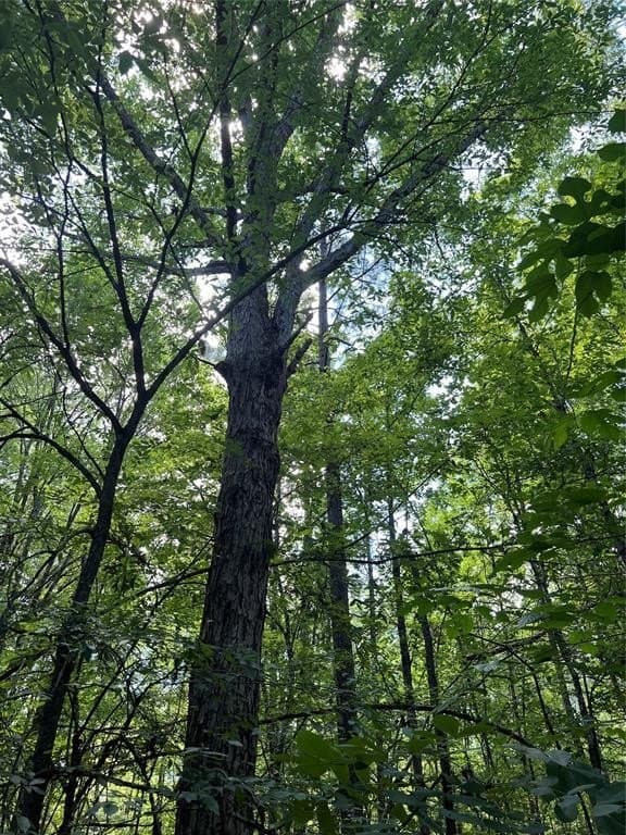 265.96 acres in Bowie County - photo 30