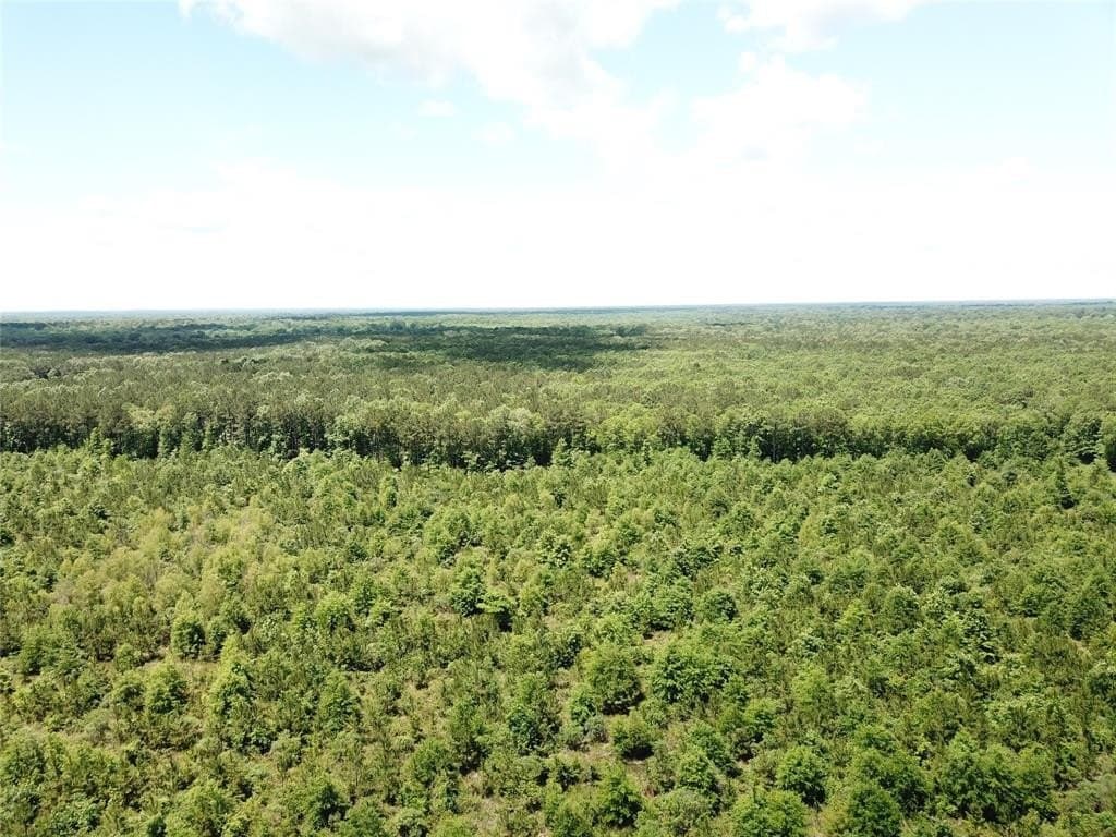 265.96 acres in Bowie County - photo 8