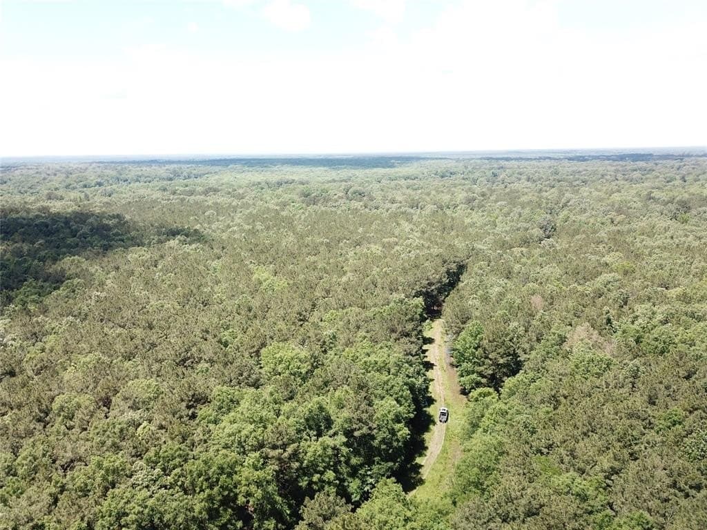 265.96 acres in Bowie County - photo 14