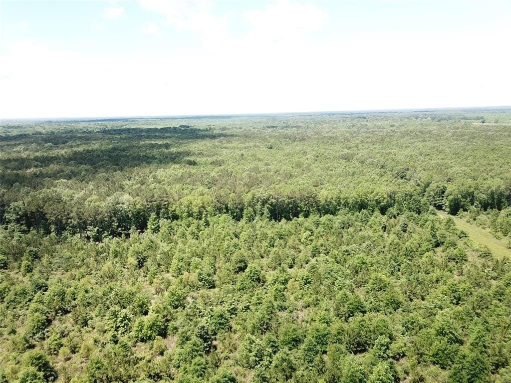 265.96 acres in Bowie County - photo 10