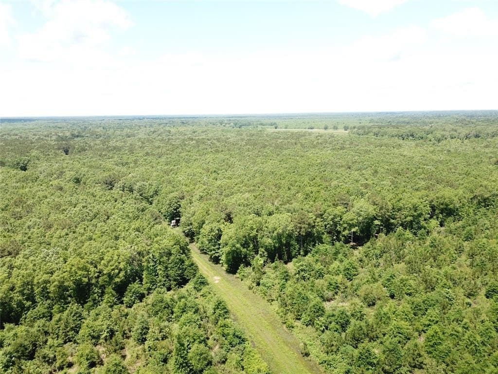 265.96 acres in Bowie County - photo 11