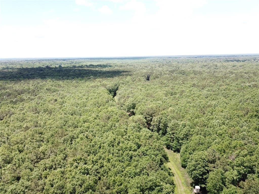 265.96 acres in Bowie County - photo 3