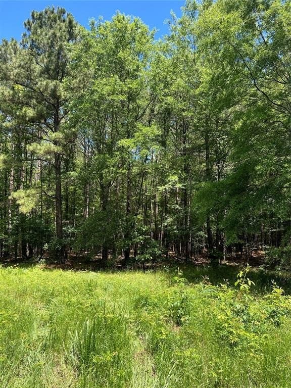 265.96 acres in Bowie County - photo 26