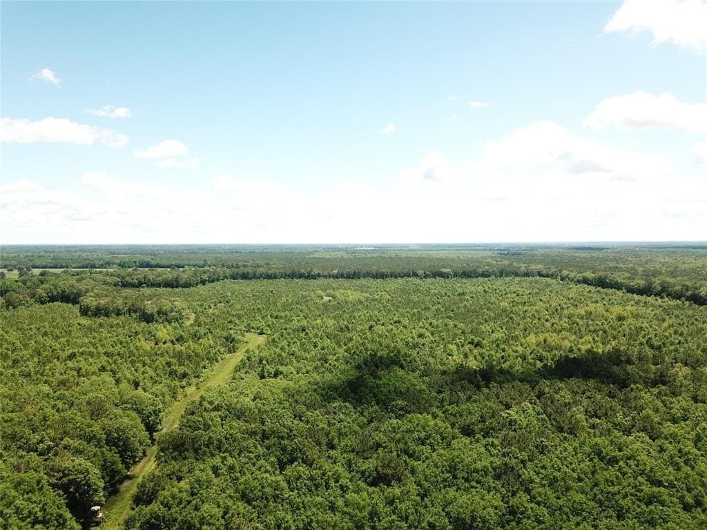 265.96 acres in Bowie County - photo 4