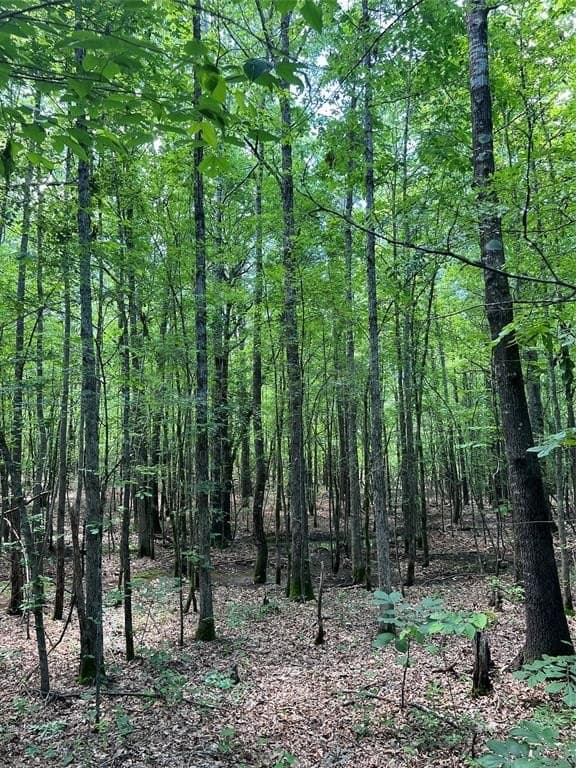 265.96 acres in Bowie County - photo 31
