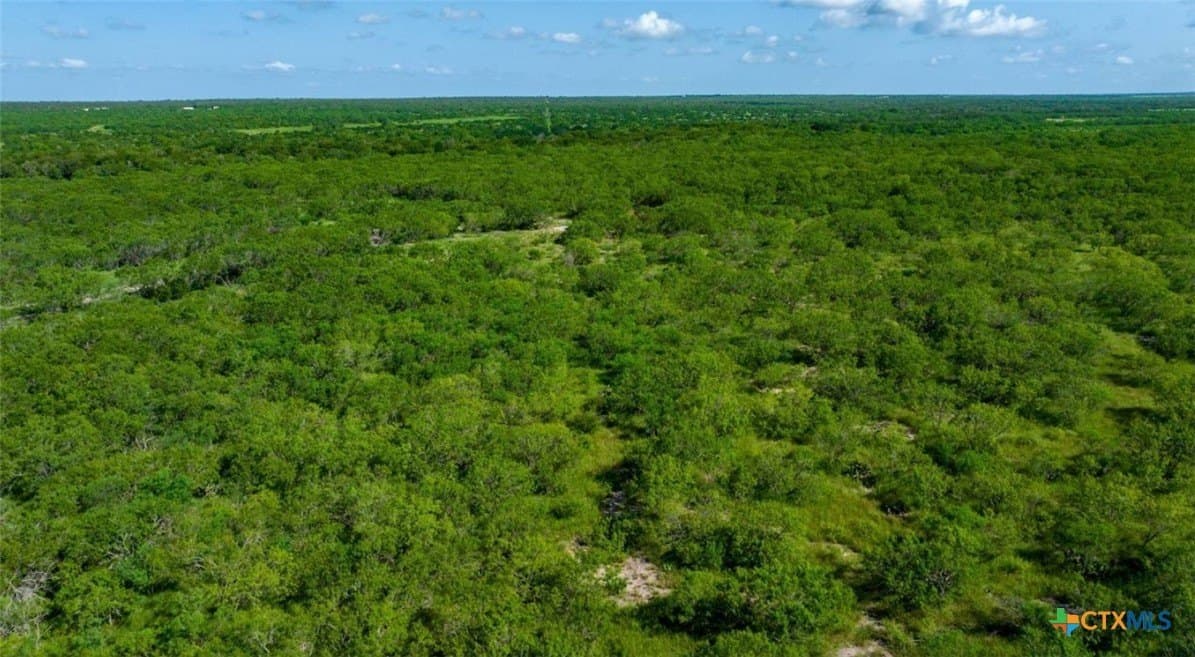 14 acres in Live Oak County - photo 2