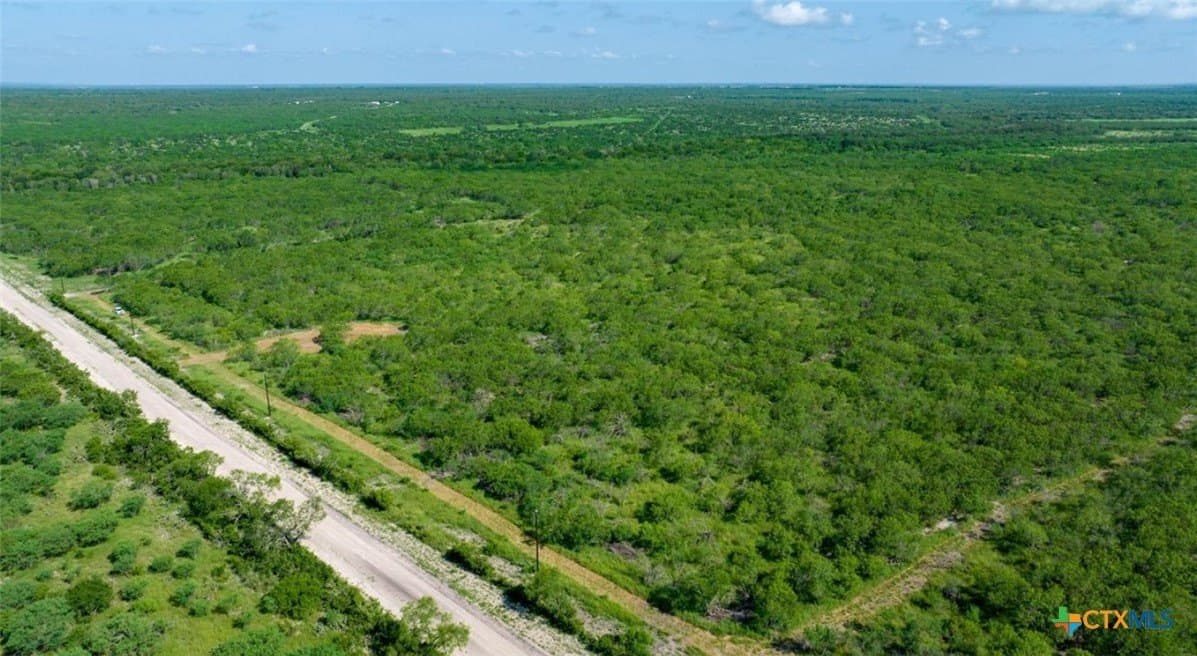 14 acres in Live Oak County - photo 5