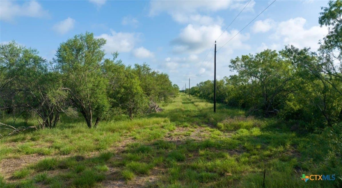14 acres in Live Oak County - photo 4