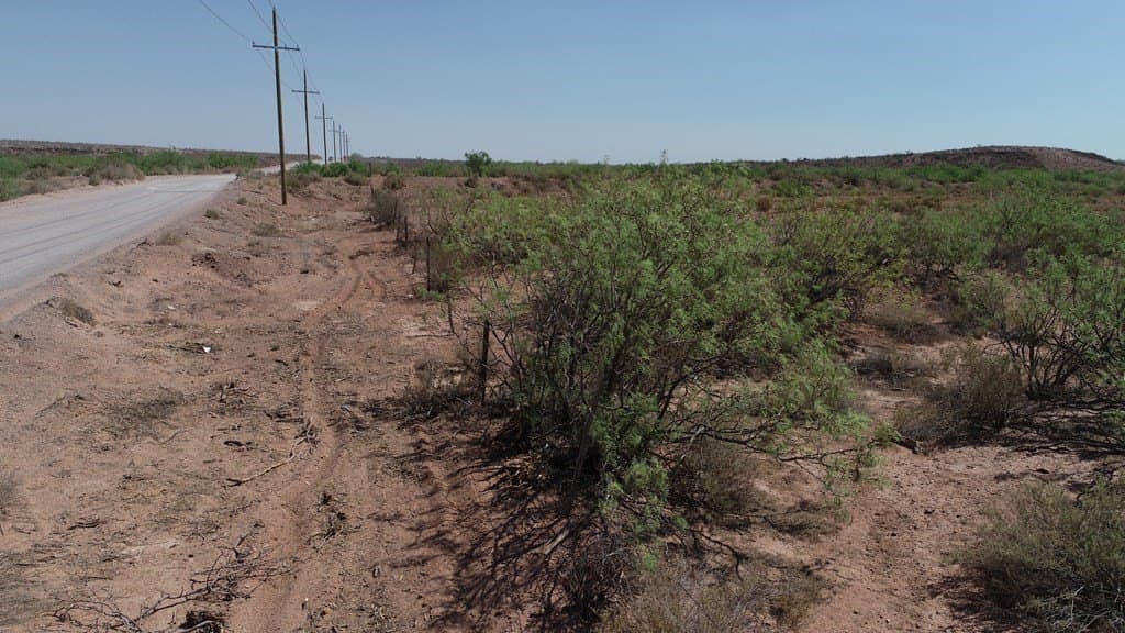 22.55 acres in Ward County - photo 31