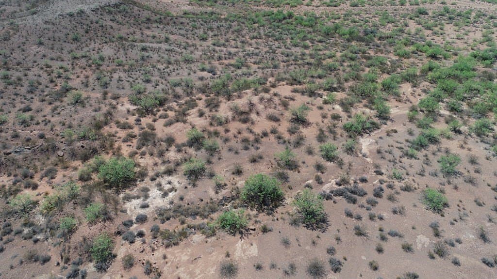 22.55 acres in Ward County - photo 28