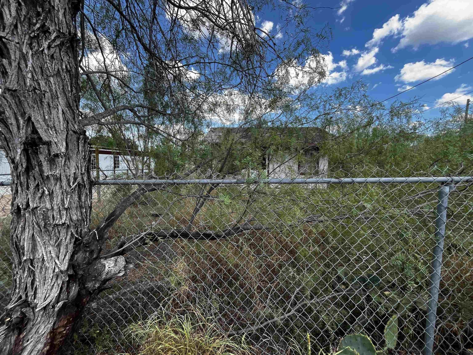 0 acres in zapata County - photo 6