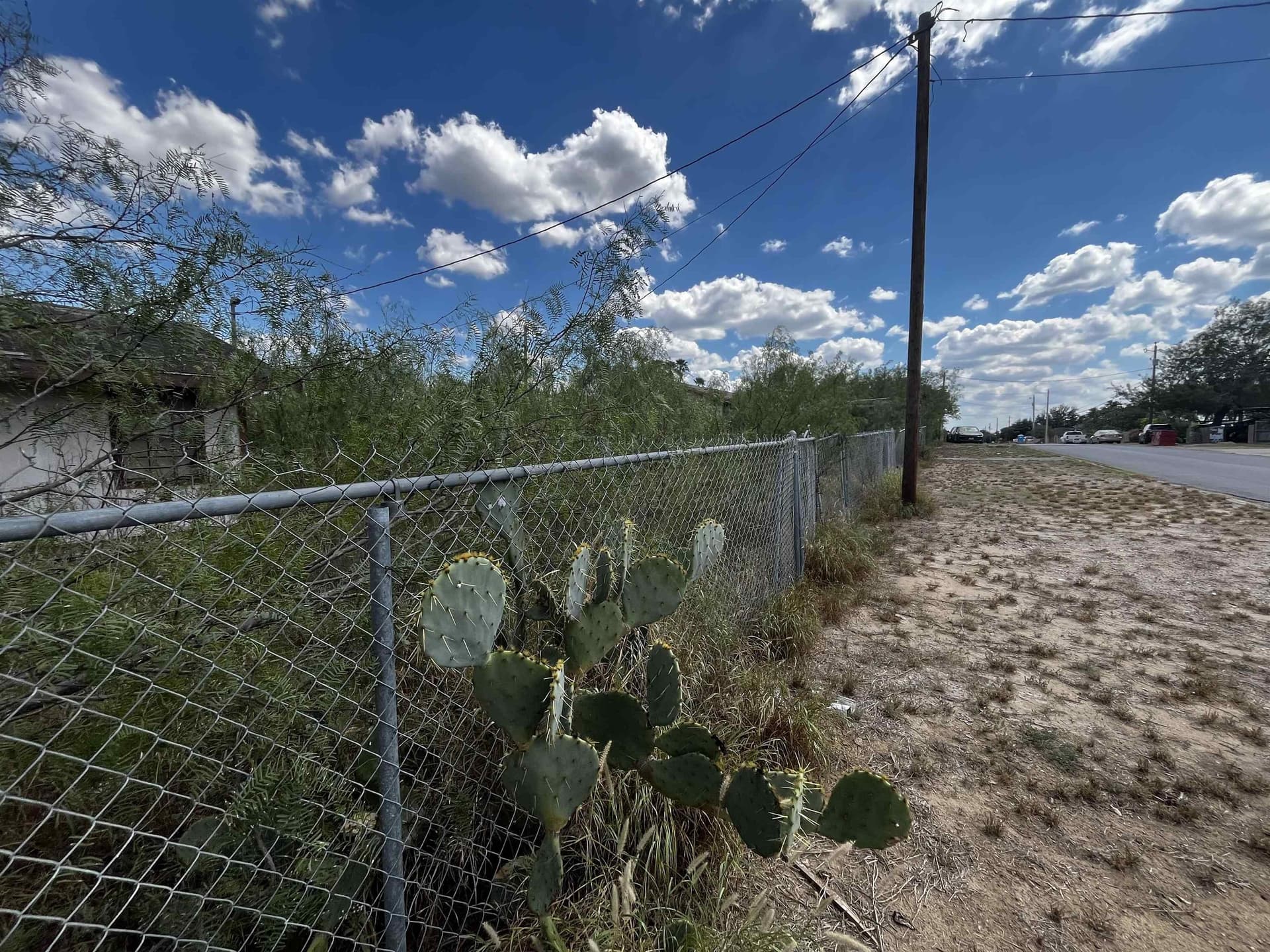 0 acres in zapata County - photo 5