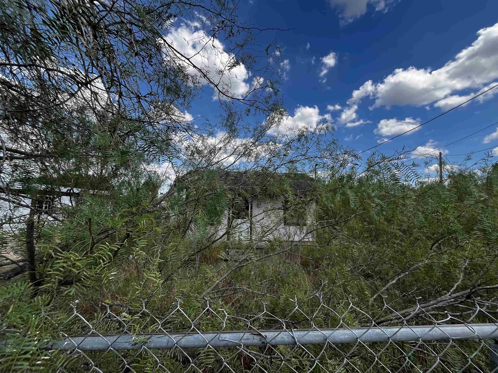 0 acres in zapata County - photo 2