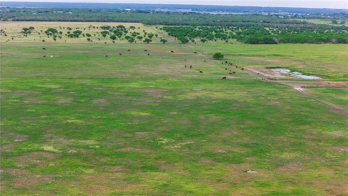 375 acres in Live Oak County - photo 28