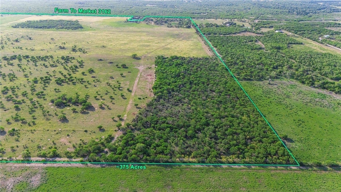375 acres in Live Oak County - photo 5