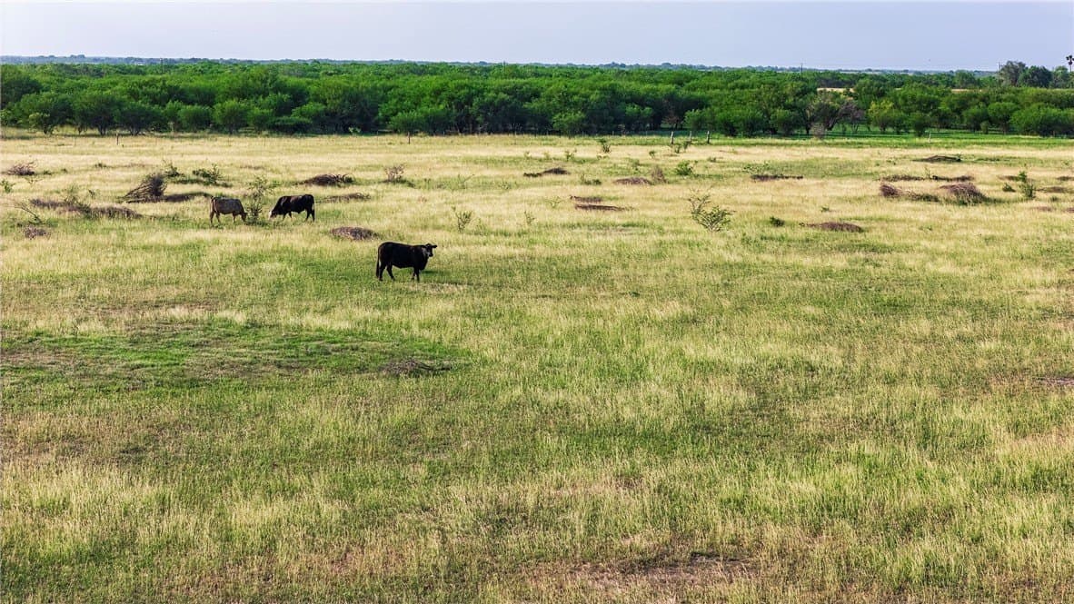 375 acres in Live Oak County - photo 21