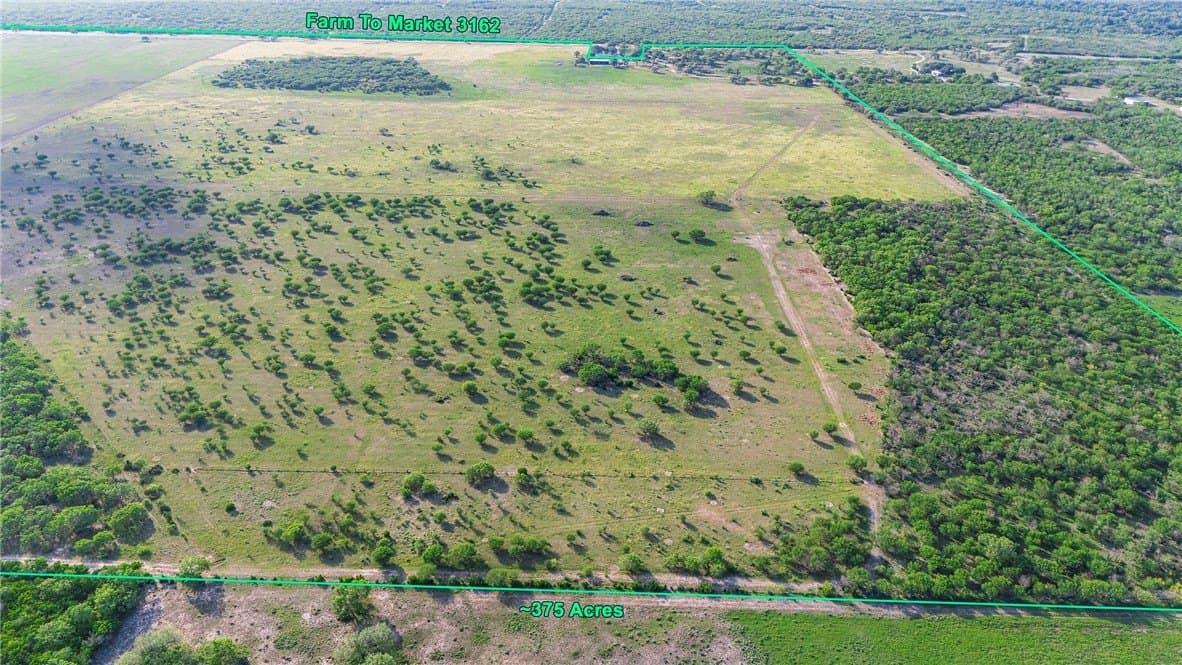 375 acres in Live Oak County - photo 6