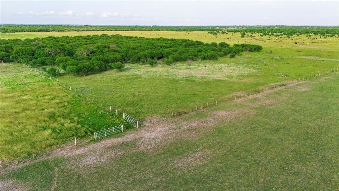 375 acres in Live Oak County - photo 22