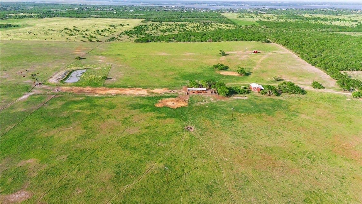 375 acres in Live Oak County - photo 11