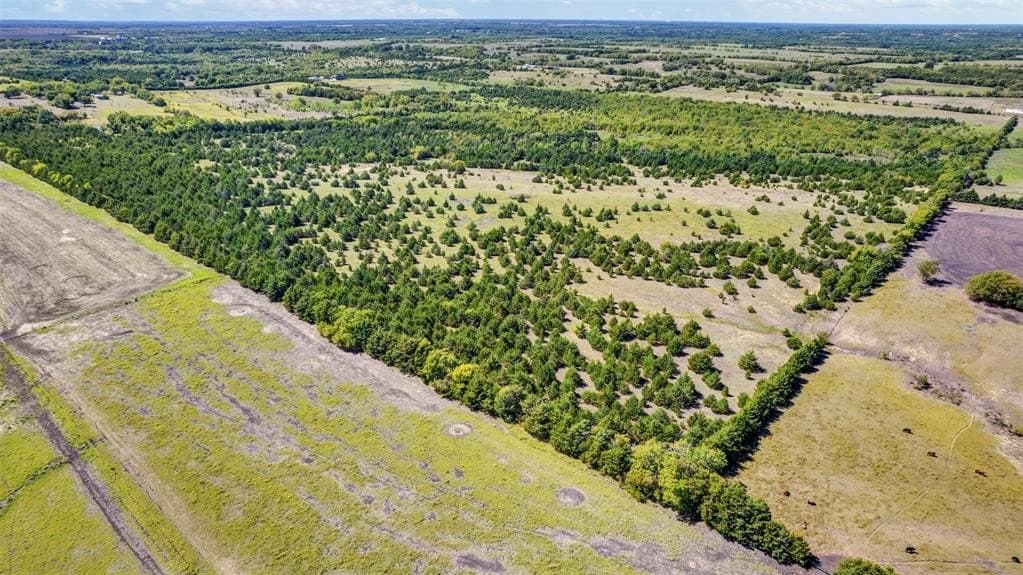 50 acres in Fannin County - photo 3