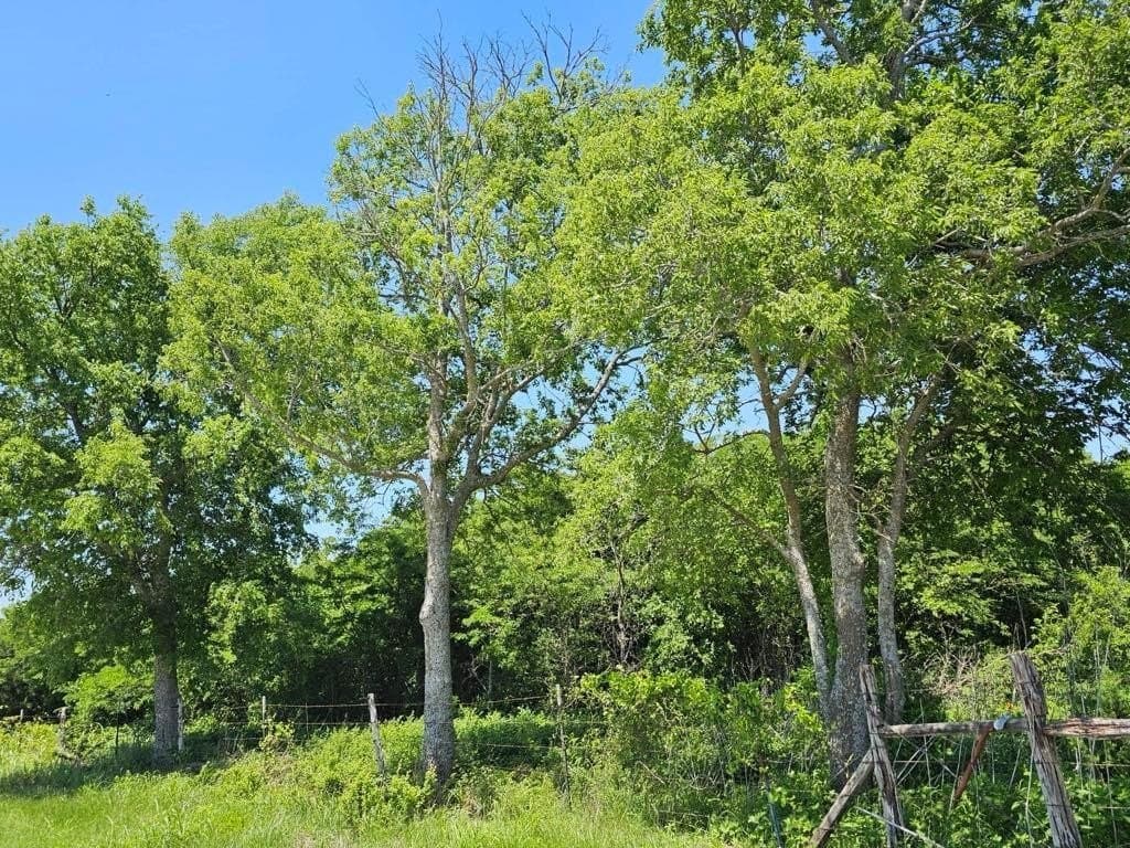 13 acres in Hill County - photo 2