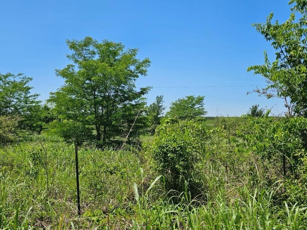 13 acres in Hill County - photo 7