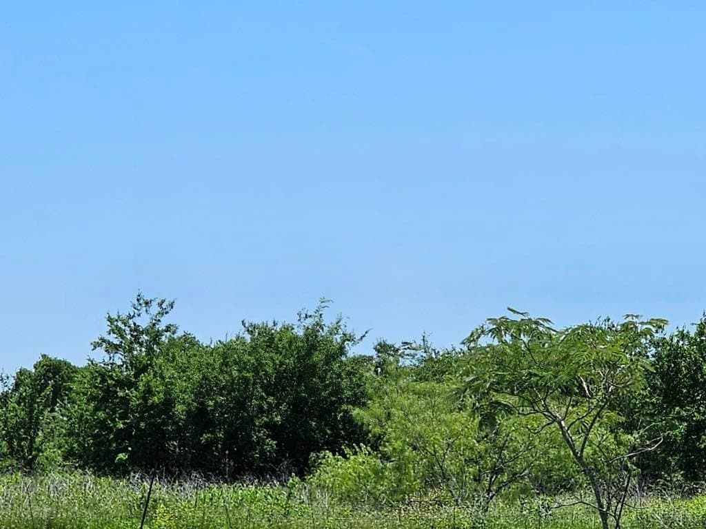13 acres in Hill County - photo 5