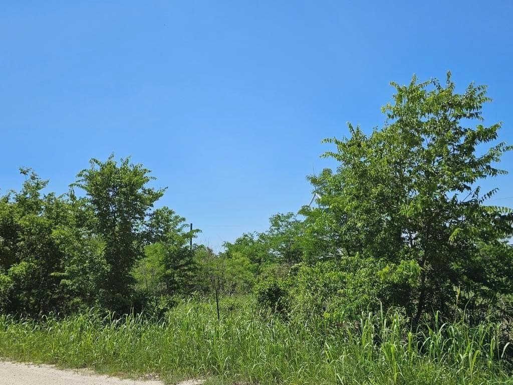 13 acres in Hill County - photo 3