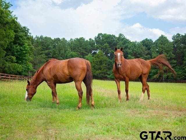 1.37 acres in Anderson County - photo 8