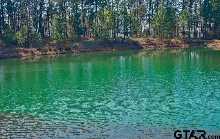 1.37 acres in Anderson County - photo 16