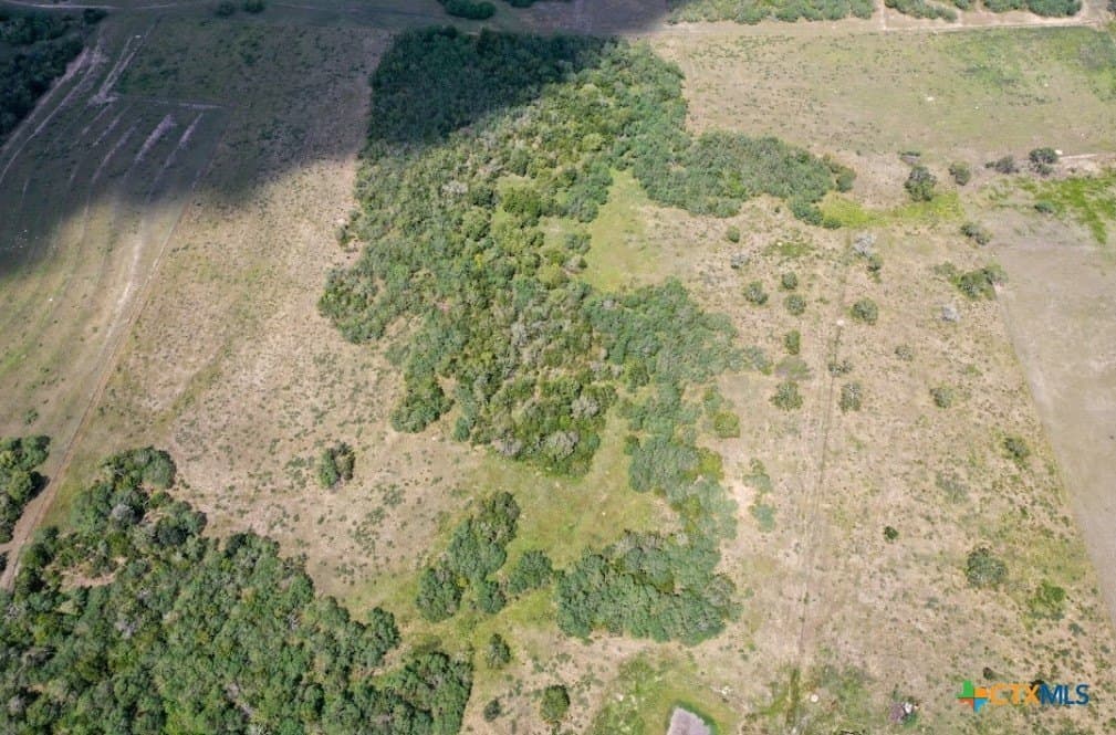 58.1 acres in DeWitt County - photo 2