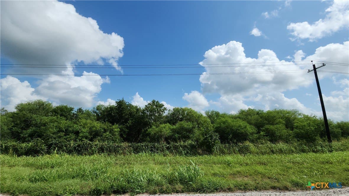 58.1 acres in DeWitt County - photo 5