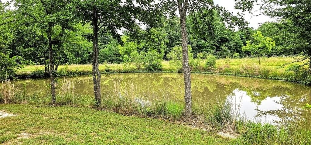 57.29 acres in Franklin (TX) County - photo 10