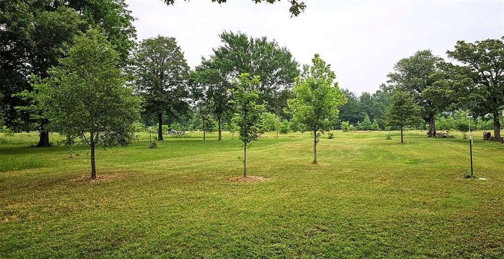 57.29 acres in Franklin (TX) County - photo 8