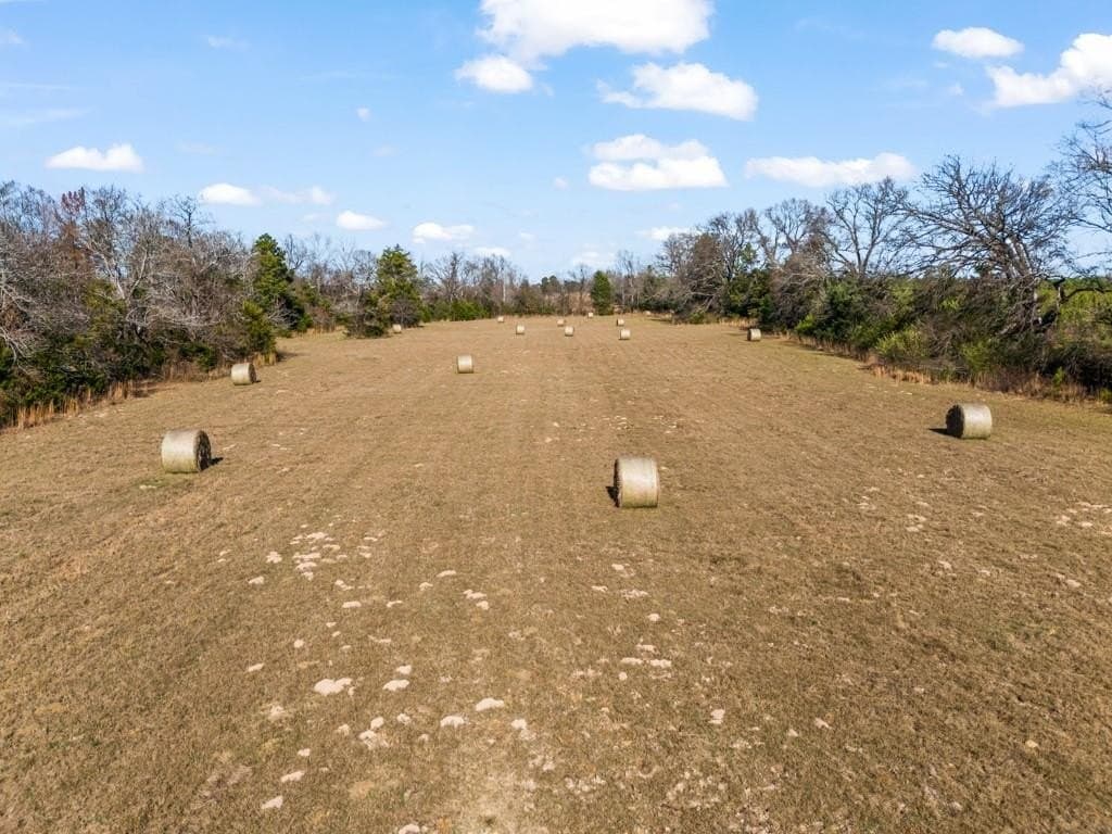 94.14 acres in Wood County - photo 37