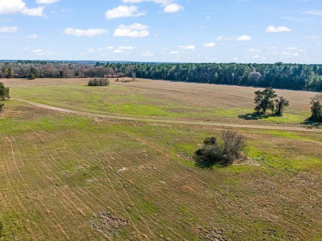 94.14 acres in Wood County - photo 39