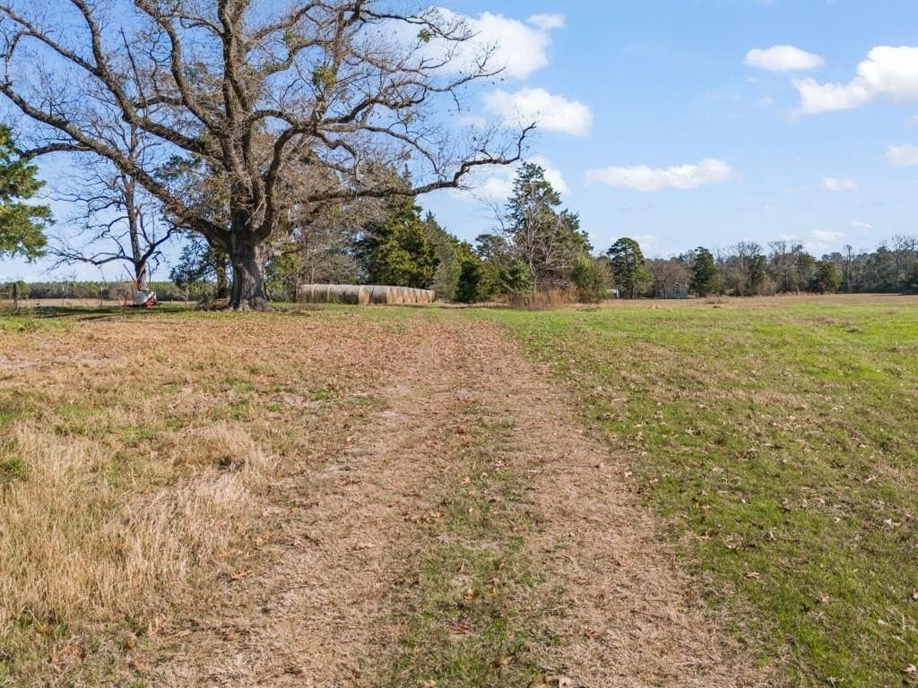 94.14 acres in Wood County - photo 36