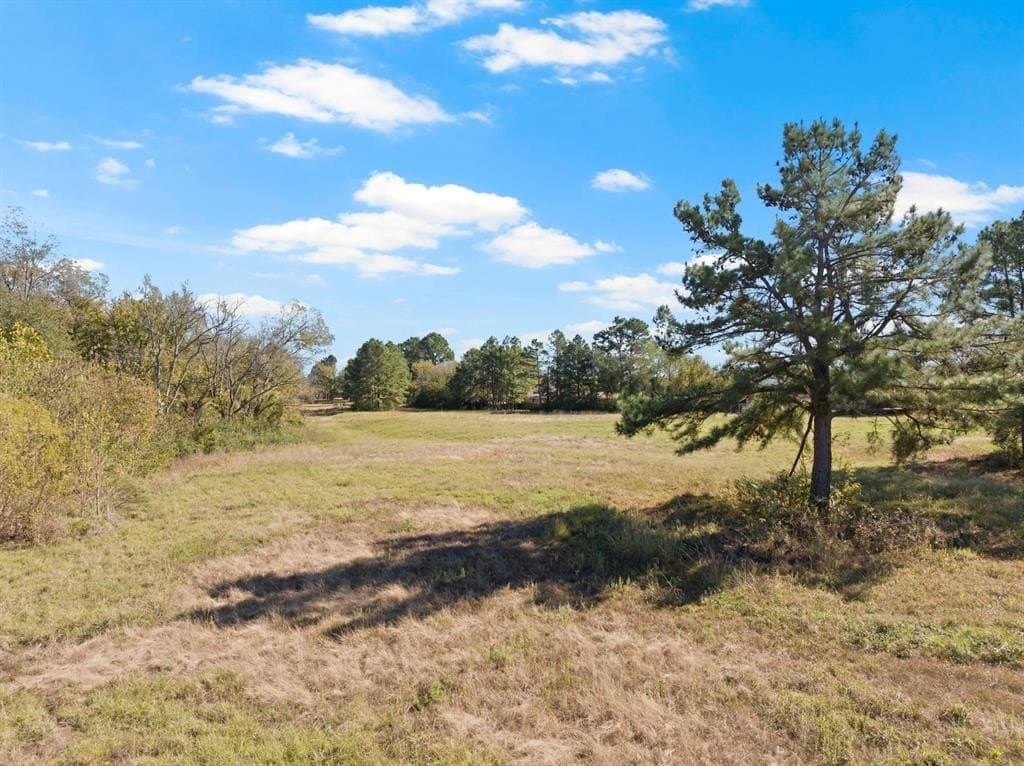 17 acres in Hopkins County - photo 7