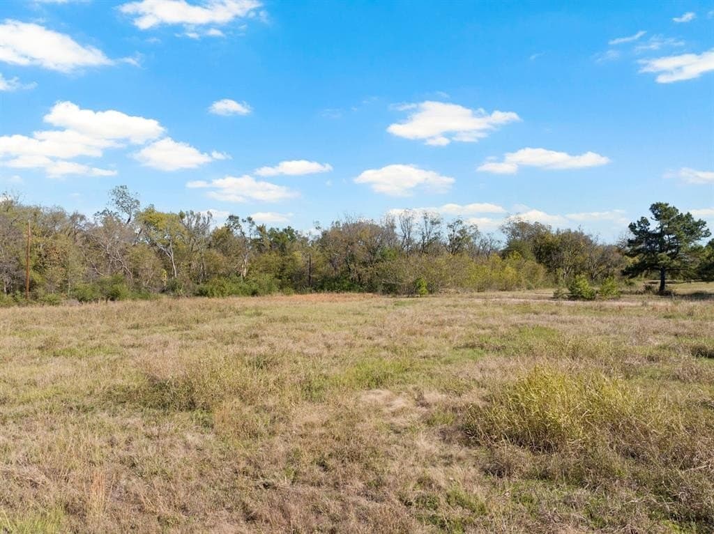 17 acres in Hopkins County - photo 4