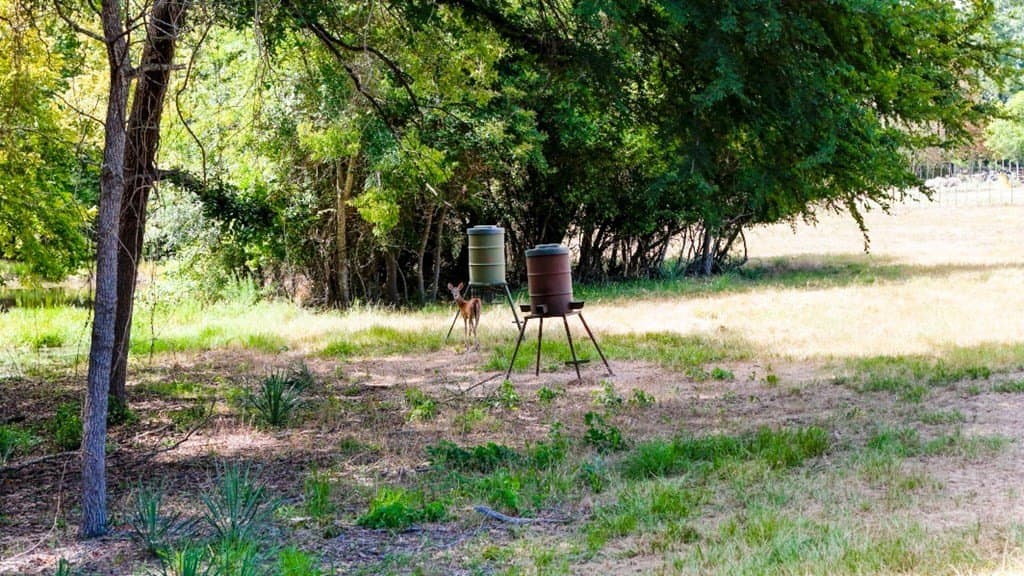 12.06 acres in Henderson County - photo 46