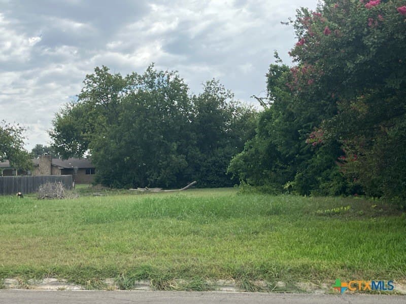 0.4 acres in Bell County - photo 2