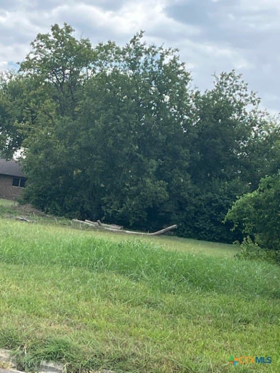 0.4 acres in Bell County - photo 4