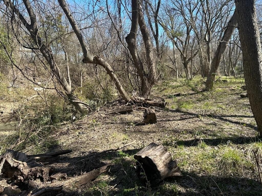 1.2 acres in Dallas County - photo 7