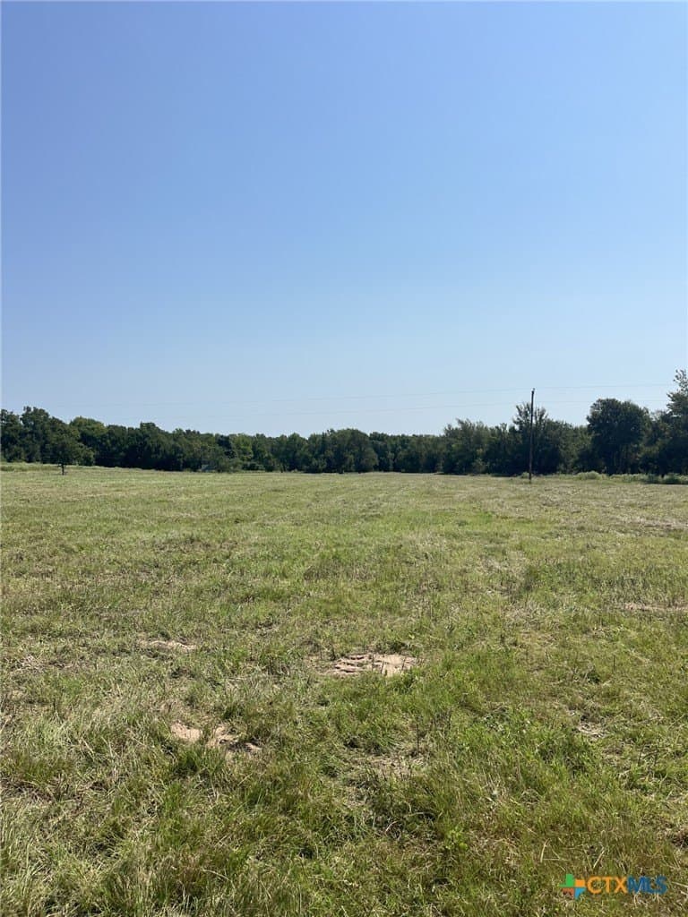 21.69 acres in Milam County - photo 7