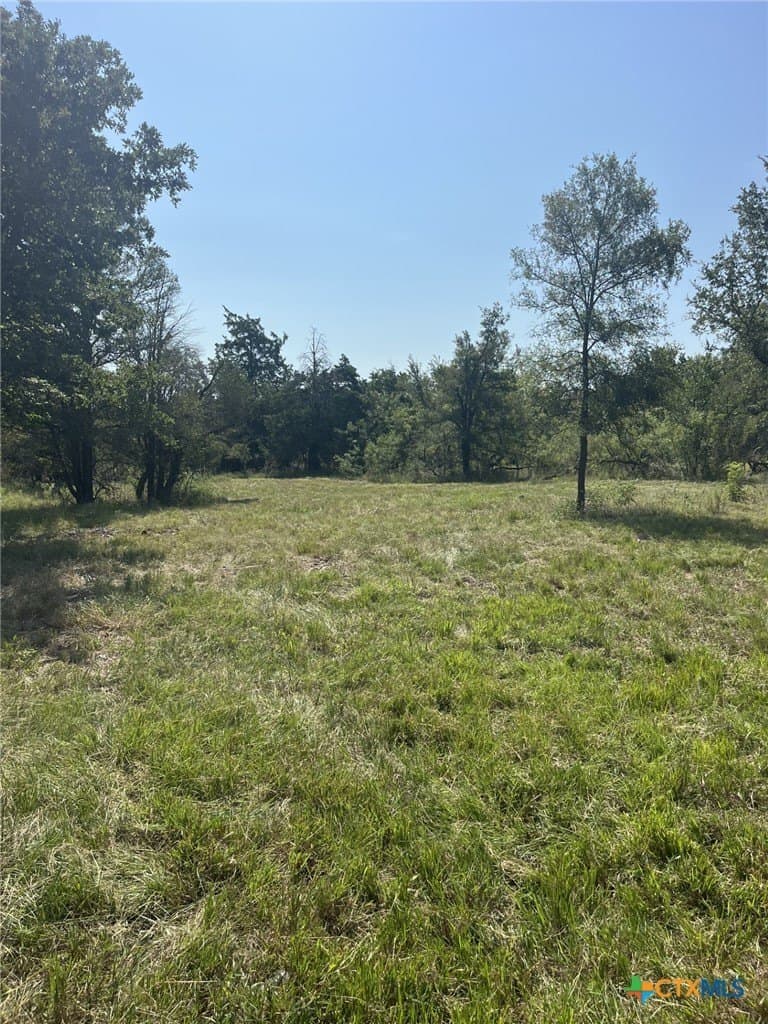 21.69 acres in Milam County - photo 5