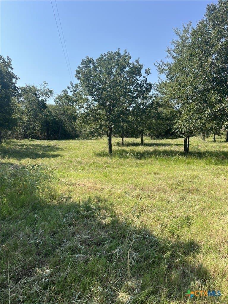 1290 COUNTY ROAD 302