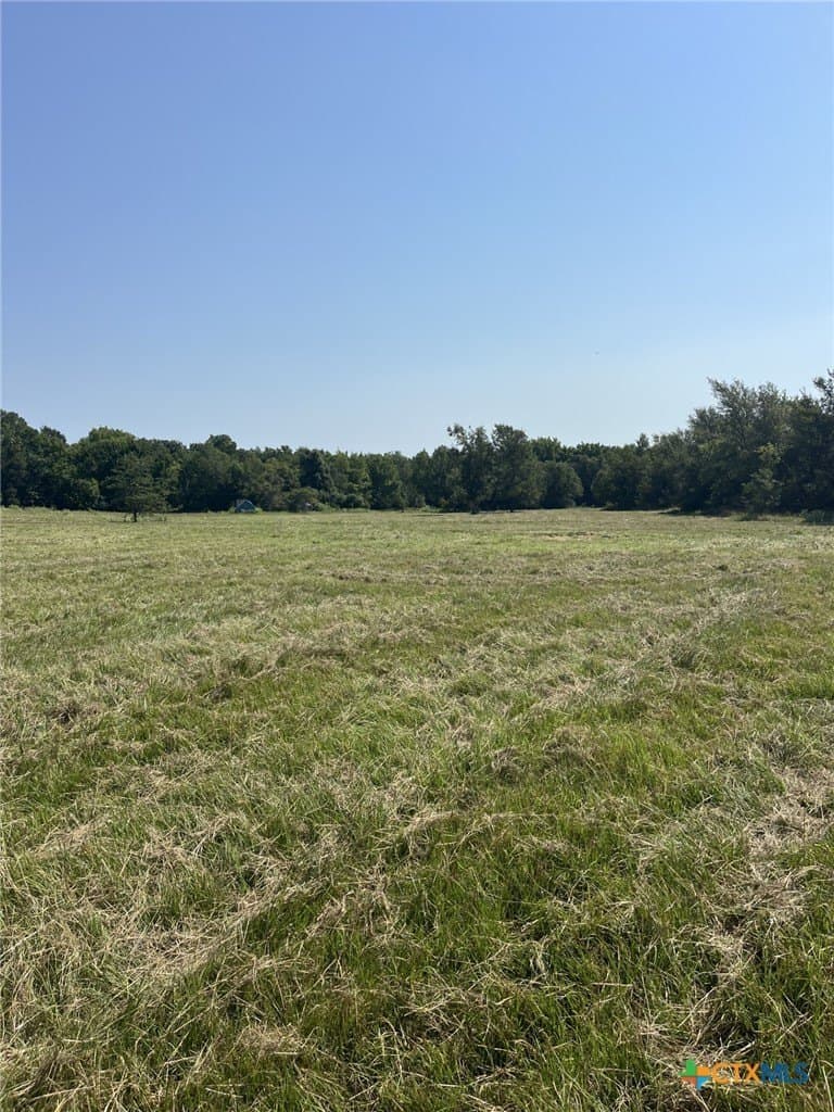 21.69 acres in Milam County - photo 3