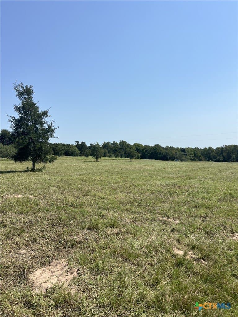 21.69 acres in Milam County - photo 8